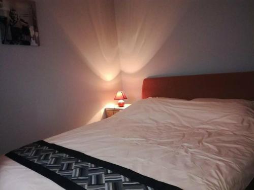 弗尔沙茨Apartment Natasa的卧室配有白色床和红色床头板