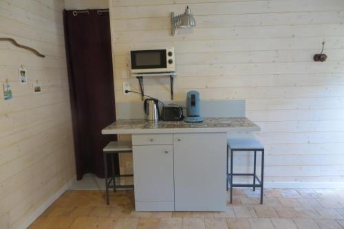卢瓦尔河畔蒙路易Maisonnette (type studio) Indépendante的厨房配有带微波炉和台面的台面