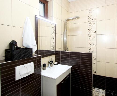 贝尔格莱德Apartment Iris的一间带水槽和镜子的浴室