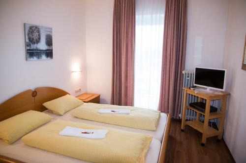 多瑙河畔迪林根加尼特鲁姆酒店的酒店客房设有两张床和电视。