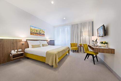 大戈里察花园山酒店的配有一张床和一张书桌的酒店客房