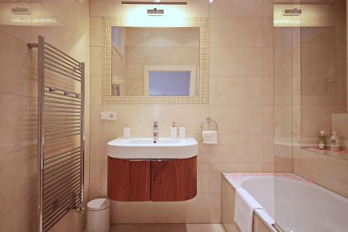 布拉格布拉格中心公寓的一间带水槽、浴缸和镜子的浴室