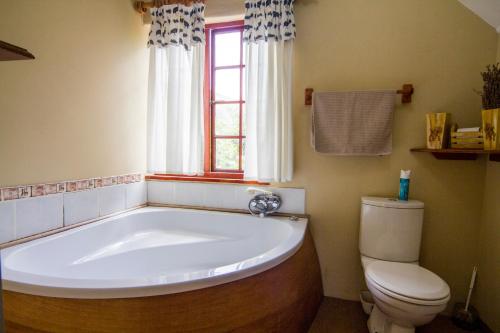 霍维克40 Fraser Street Bed and Breakfast的一间带大浴缸和卫生间的浴室