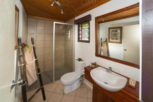 Korovou万竹可海湾度假酒店的浴室配有卫生间、盥洗盆和淋浴。