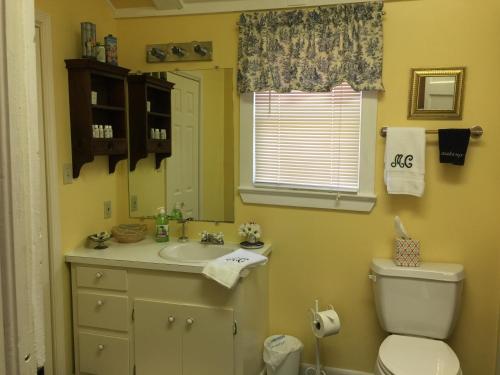 纳奇兹Magnolia Cottage Bed and Breakfast的一间带水槽、卫生间和镜子的浴室