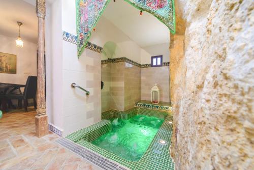 PeñaflorCasa Spa La Agueda y Robledo的房间里的淋浴里有一个绿色的水池