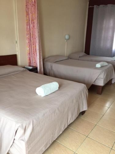 马埃堡奥伯格萨拉迪尔酒店的一间设有两张床和椅子的房间