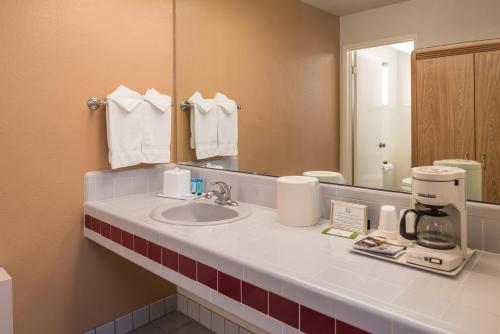 萨利纳斯月桂树酒店及会议中心的一间带水槽和镜子的浴室