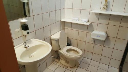 利比里亚阿瑞纳酒店的一间带卫生间和水槽的小浴室