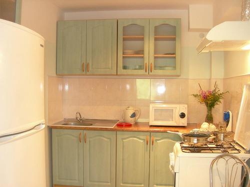 Kaunata信天翁旅馆的厨房配有绿色橱柜和白色微波炉