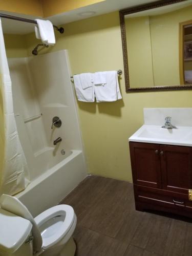奥兰多经济型汽车旅馆的一间带卫生间、水槽和镜子的浴室