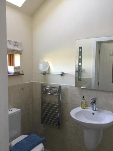 Much MarcleThe Lodge, at Orchard Cottage的一间带水槽、卫生间和镜子的浴室