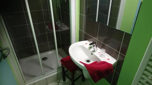 圣克洛德Hotel de la Poste的浴室配有白色水槽和淋浴。