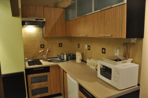斯蒂格纳Apartamenty w Stegnie的厨房配有木制橱柜和白色微波炉