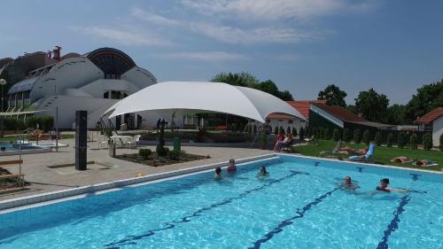 久洛赫福乐思酒店的一群人在游泳池游泳