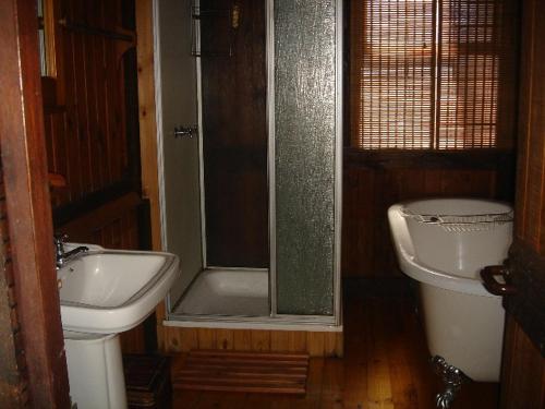 索德瓦纳湾House 53 Sodwana Bay Lodge的带淋浴、盥洗盆和卫生间的浴室