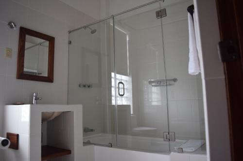 坦皮科Casa Meba Hotel Boutique的一个带水槽的玻璃淋浴间