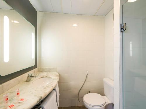 坎皮纳斯坎皮纳斯宜必思酒店的一间带水槽、卫生间和镜子的浴室
