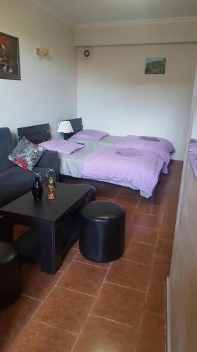 第比利斯Vazi的客房设有两张床、一张沙发和一张桌子。