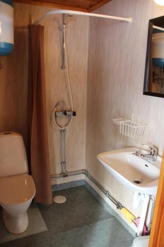 StölletVärnäs Camping的带淋浴、卫生间和盥洗盆的浴室