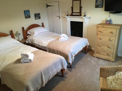 里弗姆Wood Farm Kerdiston的一间卧室设有两张床、一个壁炉和一个梳妆台。