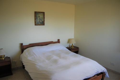 乌斯怀亚卡瓦尼亚斯德尔海恩山林小屋的卧室配有一张白色床,墙上挂着一幅画