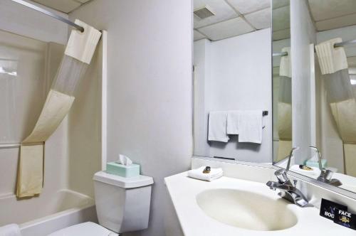 尼亚加拉瀑布尼亚加拉瀑布城温德姆旅程住宿 - 纽约的一间带水槽、卫生间和镜子的浴室