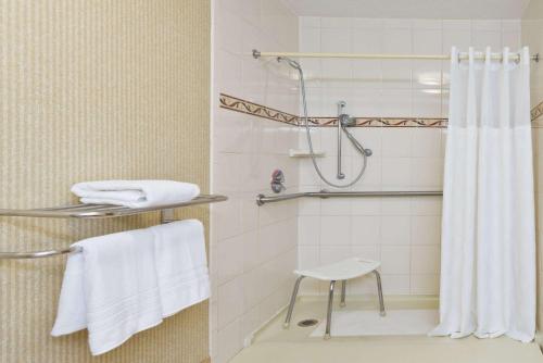 亨特斯维尔亨特斯维尔速8汽车旅馆的带淋浴和凳子的浴室