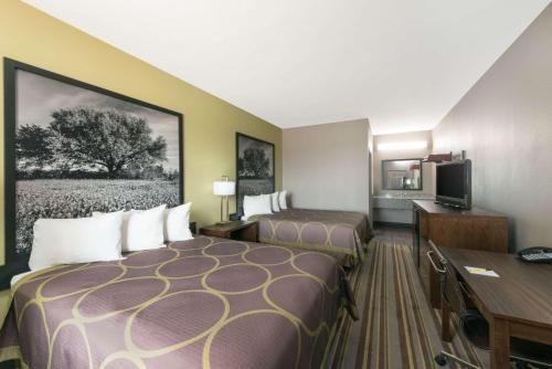 科罗拉多市科罗拉多城速8酒店的酒店客房配有一张床、一张书桌和一台电视。