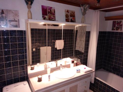 圣路易Appartement 3 pièces的一间带水槽和镜子的浴室