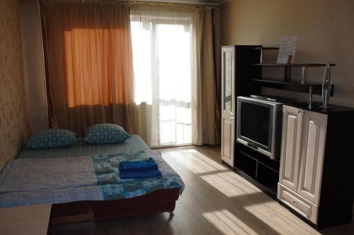Leninsk-KuznetskiyОднокомнатная квартира的一间卧室设有一张床、一台电视和一个窗口。