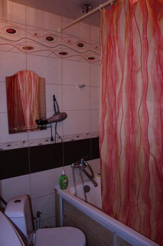 Leninsk-KuznetskiyОднокомнатная квартира的一间带卫生间和淋浴帘的浴室