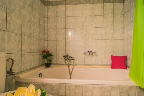 扎金索斯镇Tonia Apartments的浴室内设有带粉红色枕头的浴缸