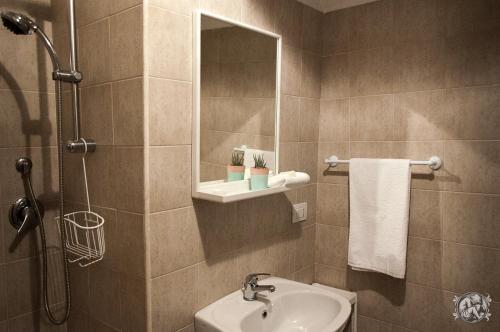 孔韦尔萨诺Gli Amanti del Sogno的浴室配有盥洗盆和带镜子的淋浴