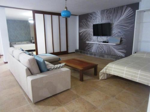 拉帕拉德Casa Perenquén的带沙发和电视的客厅