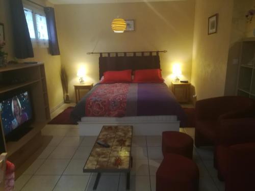 Montricher-le-BochetMaison的一间卧室配有一张带红色枕头的床和一台电视。
