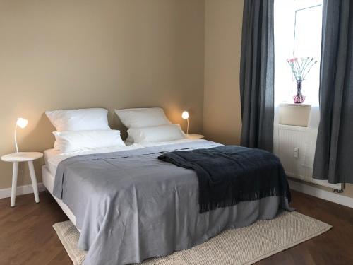 慕尼黑卡斯尔卢德维格乌德弗尔弗瑞恩沃昂公寓的卧室配有一张带白色枕头的大床和窗户。