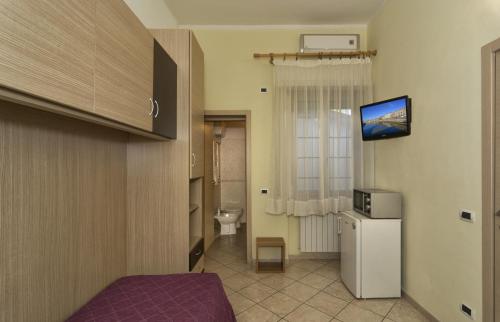 比萨阿菲塔卡马雷易来莎酒店的客房设有带冰箱的浴室和电视。