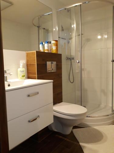 克拉科夫Studio的一间带卫生间和玻璃淋浴间的浴室