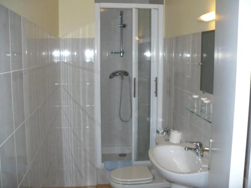 蒙特利马尔Auberge La Pignata的带淋浴、卫生间和盥洗盆的浴室