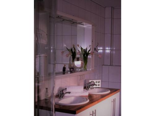 巴斯托夫Spacious Holiday Home in Bastorf near Seabeach with Garden的浴室设有2个水槽和镜子