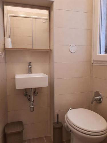 威尼斯Ca' del Megio的一间带卫生间和水槽的小浴室