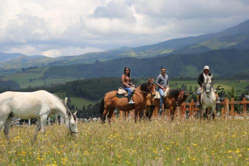 卡扬贝Hosteria Loma Larga Cayambe的三个人在野地里骑着山羊