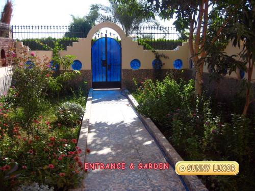 卢克索Sunny Luxor的花园中带蓝色门的房子