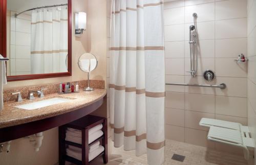 布卢明顿万豪布卢明顿诺马尔酒店&会议中心的一间带水槽和淋浴的浴室
