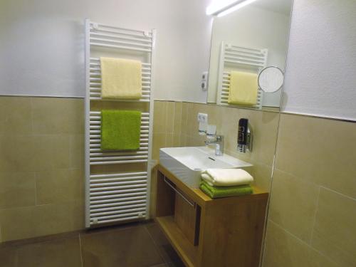 鲁波尔丁Hotel Alp Inn的一间带水槽和镜子的浴室