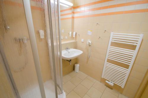 莱布尼茨莱布尼茨久发酒店的一间带水槽和淋浴的浴室