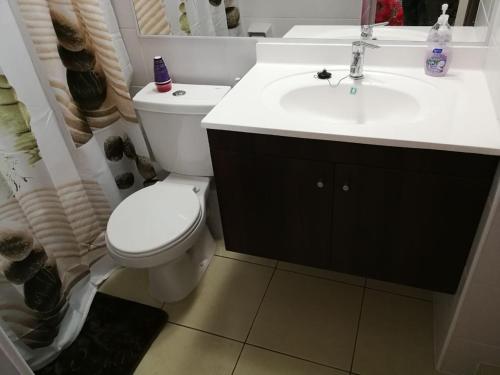 圣地亚哥Departamento santiago的浴室配有白色卫生间和盥洗盆。