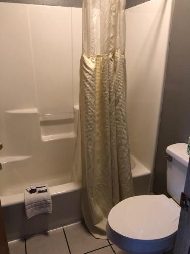 Sumner萨姆纳汽车旅馆的带淋浴帘和卫生间的浴室