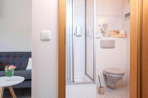 克里沙罗森尚克兰德酒店的带淋浴、卫生间和桌子的浴室